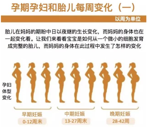 孕期八字测算，科学与迷信的结合,命运,挑战,八字,第1张