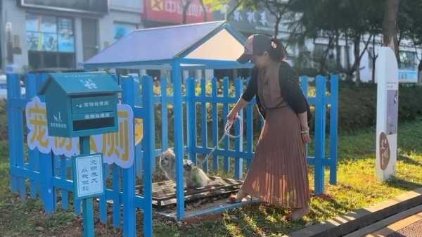 家养恶犬的讲究，平衡和谐的艺术,象征,能量,希望,第1张