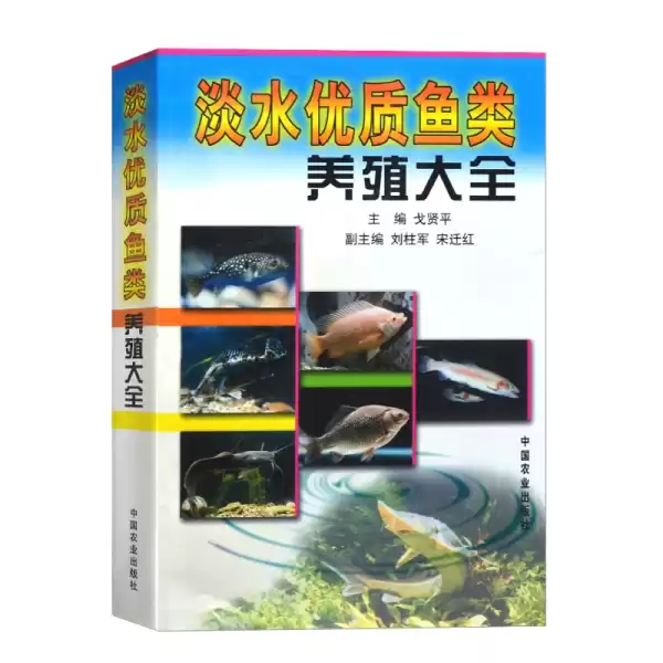 新手养鱼讲究全解析,风水布局,健康状况,注意事项,第1张