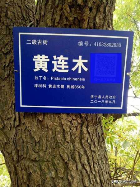 木宝宝取名，传统与现代的结合之道,象征,宝宝取名,能量,第1张