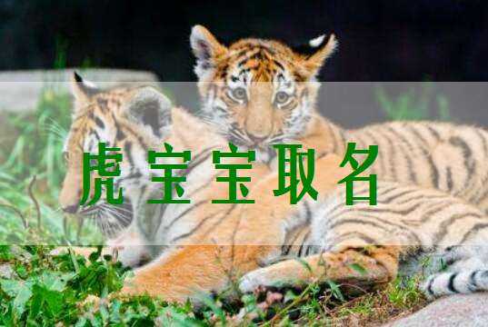 虎年宝宝取名，巧用沙字，寓意,象征,宝宝取名,希望,第1张