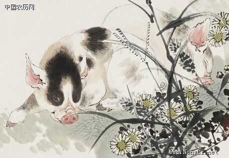 四月金猪运势，生肖老鼠福星高照,命运,事业,挑战,第1张