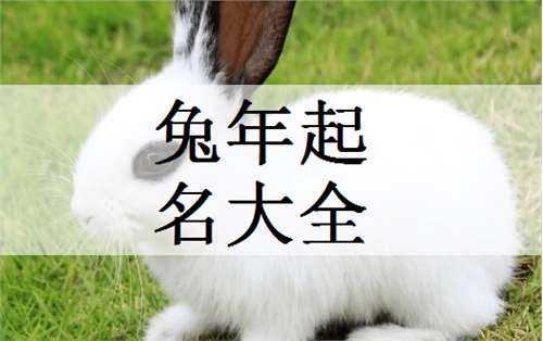 兔子宝宝名字黄字取名技巧，让小兔子更可爱,象征,希望,光明,第1张