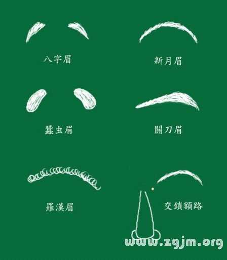 为什么算命先看眉毛？从科学角度解析,命运,算命,健康状况,第1张