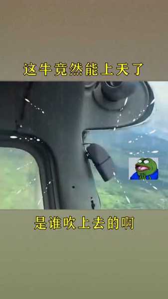 十二星座牛X到飞起！这些星座真的有你想象中那么强吗？,十二星座,自我,合作,第1张