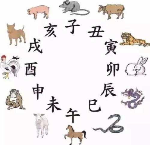 牛与羊的相冲，占卜中的神明与象征,象征,合作,光明,第1张