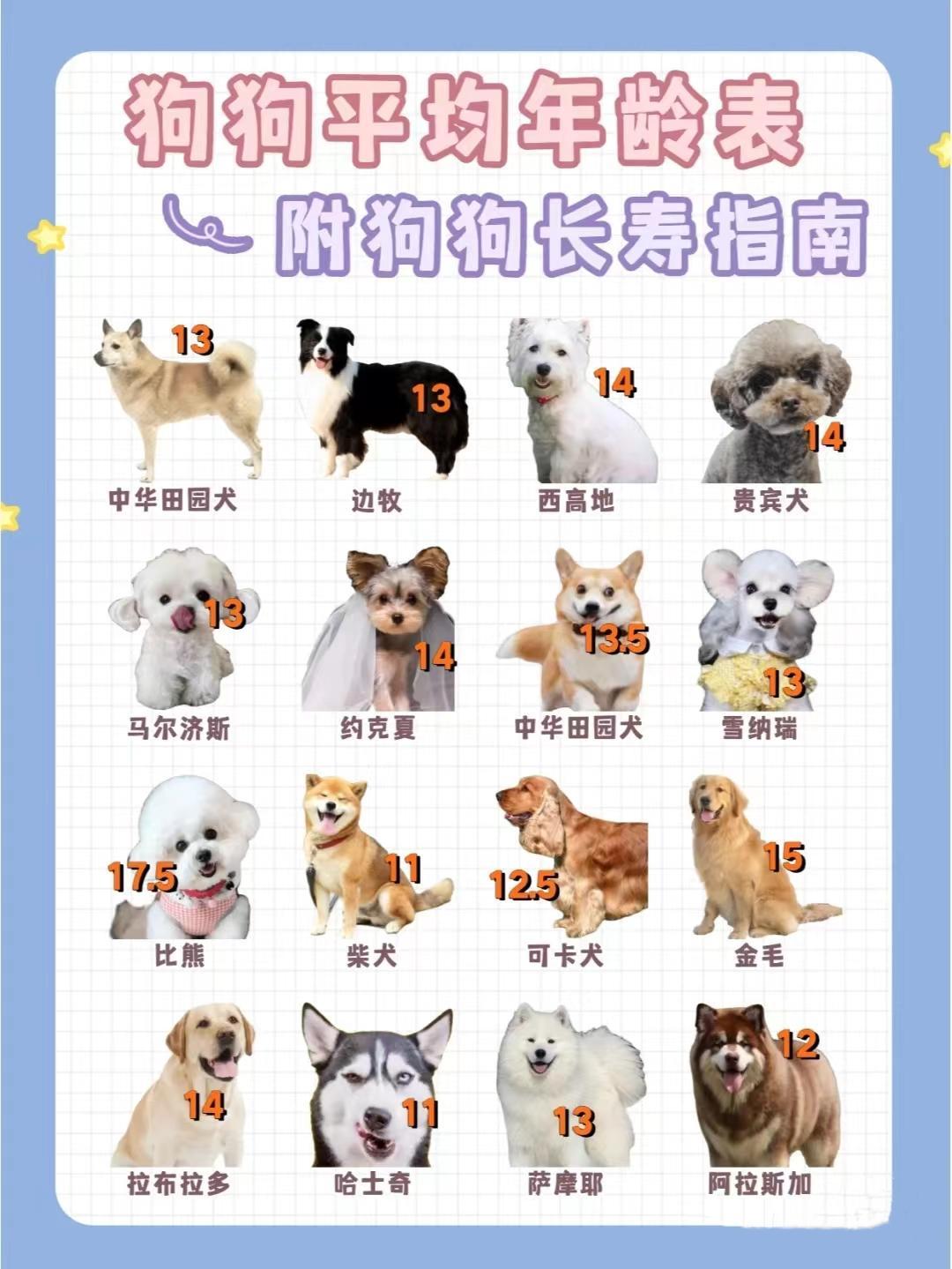 十二星座长大能养什么狗？这些狗狗太可爱了！,象征,十二星座,星座,第1张