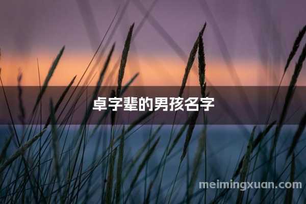 朝字辈兔宝宝取名攻略，传统文化与现代审美的融合,希望,宝宝取名,美好,第1张