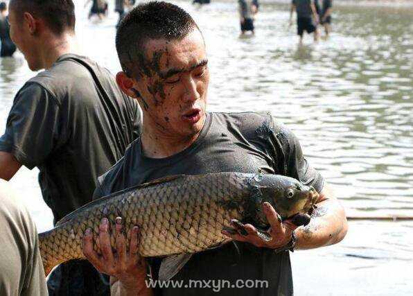 梦见捉鱼咬人，预兆与解梦解析,象征,解梦,自我,第1张