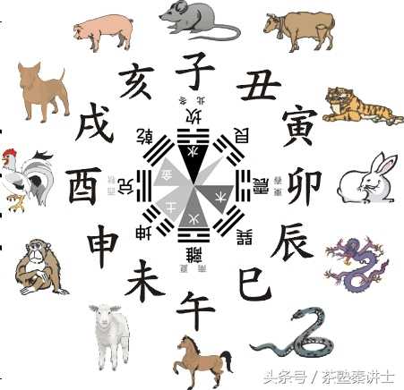 生肖是什么,命运,事业,挑战,第1张