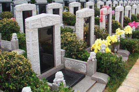 墓地养什么植物好呢？,象征,气场,希望,第1张