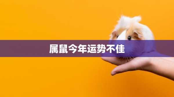 鼠虎双生肖运势解析，机遇与同在,事业,挑战,自我,第1张
