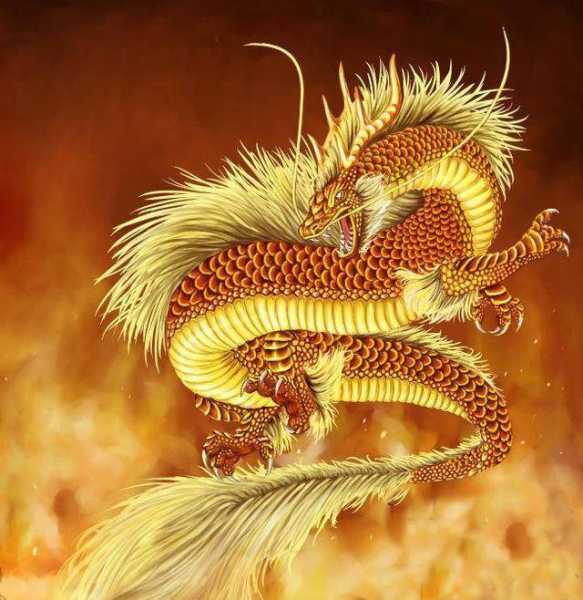运势查询，辰龙属相的运势解析与建议,象征,事业,挑战,第1张
