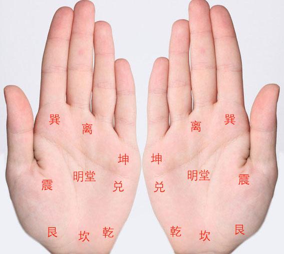 手掌三条纹，解读吉凶图，揭示命运密码,象征,命运,事业,第1张