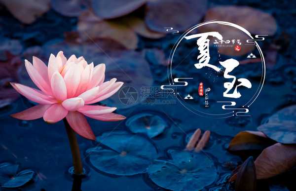 夏至转运生肖运势图解法，解读天时地利人和,事业,希望,合作,第1张