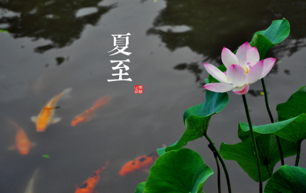 夏至生女宝宝取名，传统与现代的结合之道,象征,命运,八字,第1张