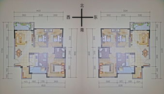 八字五行缺什么？解析命理中的关键要素,命运,八字,能量,第1张