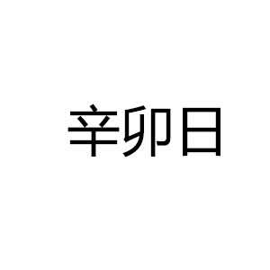 辛卯日吉时解析，时刻的文化象征与生活启示,象征,事业,挑战,第1张