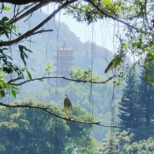 浮烟山朝观求签，自然与人文的和谐共生,希望,求签,寺庙,第1张