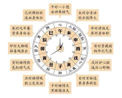 十二时辰与十二星座，古代天文学与占卜的深层联,象征,十二星座,吉凶,第1张