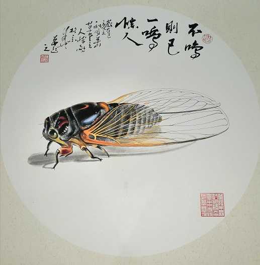 的蝉，解梦与生命的对话,象征,希望,自我,第1张