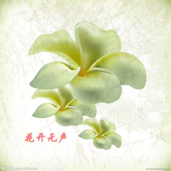 花语星座，自然的无声对话,象征,十二星座,自我,第1张