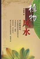 适合养殖的植物指南,象征,希望,气场,第1张