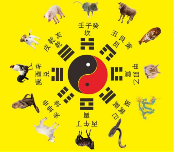 属牛人5至6点生肖运势，运势解析与建议,挑战,希望,自我,第1张