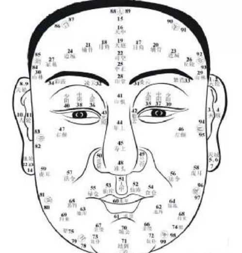 面相算命学，预兆最准的面相特征解析,命运,希望,算命,第1张