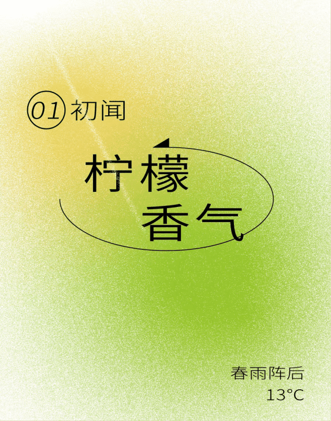 奈雪的茶求签桶怎么买？全面解析购买渠道与注意事项,求签,成功,注意事项,第1张