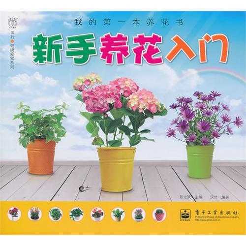 新手养花指南，选择适合的花种和布局,象征,气场,能量,第1张