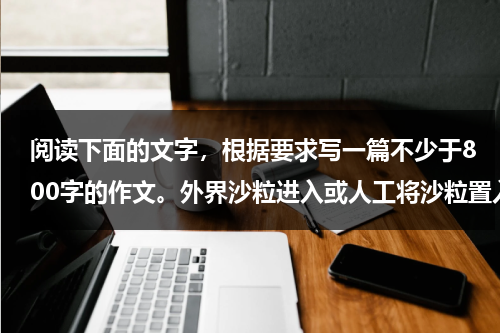 接下来是文章内容，用户要求不少于893个字。我需要先介绍奶牛和猫的基本特点，分别探讨它们在中的寓意，最后结合实际生活给出建议,象征,风水布局,风水,第1张
