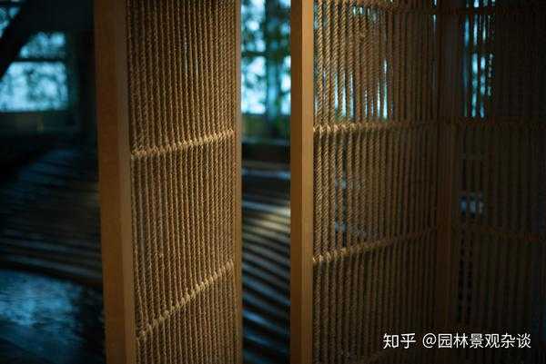茶室，选择合适的绿植，提升气场与舒适度,象征,气场,风水,第1张