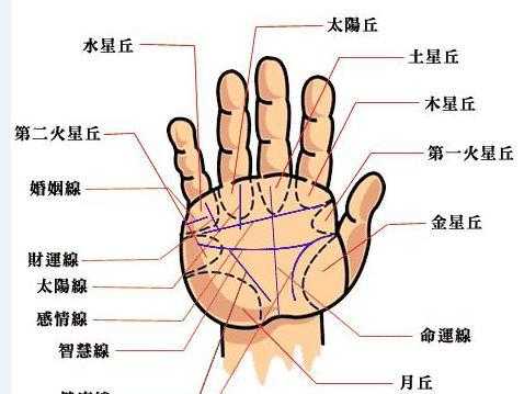 手纹算命小程序，揭示隐藏的个人秘密,命运,事业,挑战,第1张