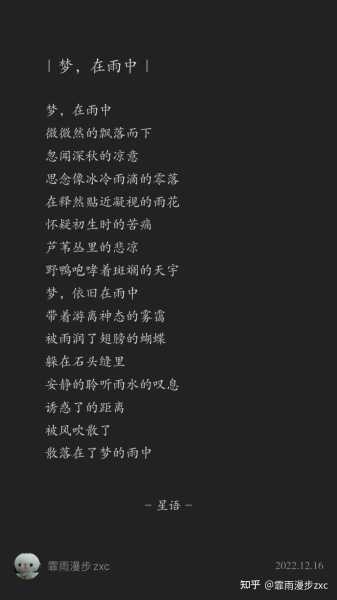 预言雨天有伞，解读梦境中的情感守护,象征,挑战,希望,第1张