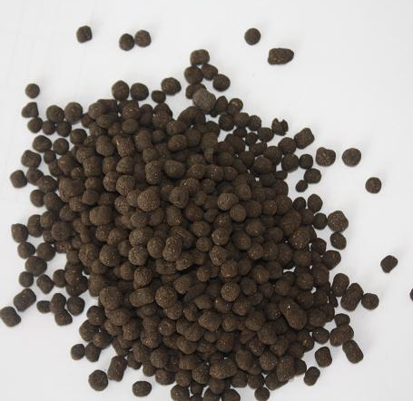 梦见羊粪,预示着什么?解梦解析与启示,象征,事业,希望,第1张 梦见羊粪,预示着什么?解梦解析与启示,象征,事业,希望,第1张