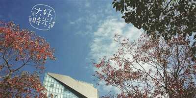 好，用户让我写一篇关于南山寺还能求签嘛的文章，先写标题，再写内容，内容不少于970字。首先，我需要理解用户的需求。看起来用户可能对南山寺的求签现象感兴趣，或者想探讨求签在现代中的意义,命运,挑战,希望,第1张