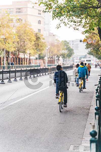 路边遇见白狐，预兆与解梦的深层含义,象征,希望,解梦,第1张