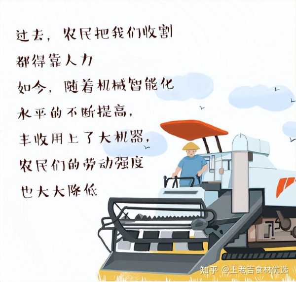 好，用户让我写一篇关于米字路口对应的文章，标题已经给出，内容要不少于826个字。首先，我需要理解米字路口是什么意思。米字由两条I组成，横平竖直，看起来很稳定，可能在中象征平衡和稳定,象征,希望,能量,第1张