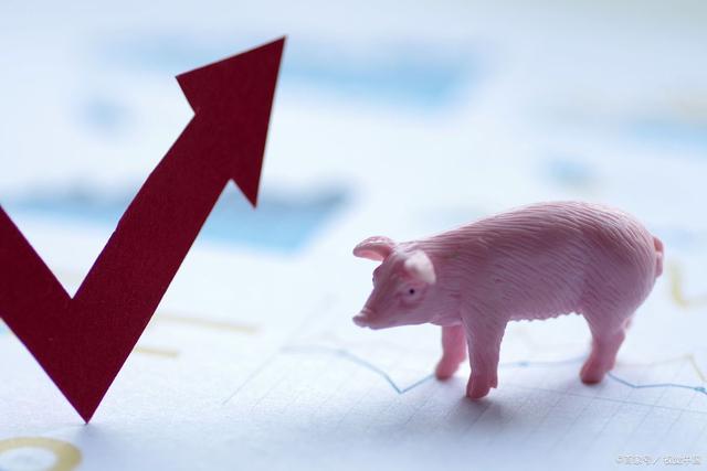 好，用户让我写一篇关于猪生肖2019年运势的文章，首先得确定标题。标题要吸引人，同时包含关键词。我想到猪年连连，2019年生肖运势解析这个标题，既简洁又有吸引力,象征,事业,挑战,第1张