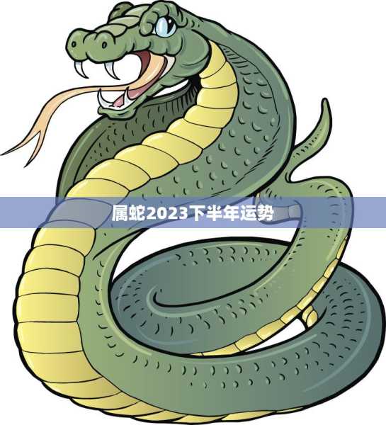 属蛇者住三楼，运势如何？,象征,事业,合作,第1张
