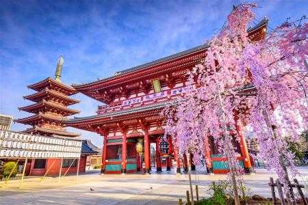2017年8月，的日吉时，一场独特的文化盛宴,希望,吉时,合作,第1张