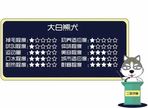四只狗熊，预兆与解梦的启示,象征,事业,挑战,第1张