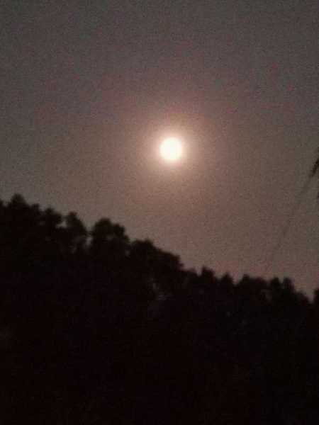 好，用户让我写一篇关于十二生肖的运势今日的文章，首先我需要确定一个合适的标题。考虑到用户可能希望标题简洁明了，我想到十二生肖运势解析，今日运势如何？这个标题既涵盖了关键词，又明确了主题,事业,挑战,希望,第1张