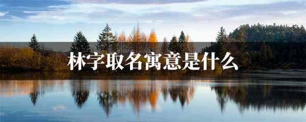 姓林的宝宝怎么取名小名，创意与寓意并重的取名之道,象征,希望,宝宝取名,第1张