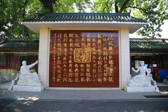 文化传承中的诗词取名，龙宝宝名字的诗意与传承,象征,希望,能量,第1张