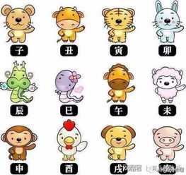最复合的生肖运势，生肖相配与和谐共处的奥秘,象征,命运,事业,第1张