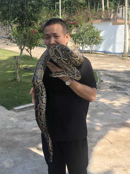 好，用户让我写一篇关于蟒蛇跑入家里这个关键词的文章，包括预兆和解梦的内容。首先，我需要确定文章的标题，要吸引人又相关。，内容部分要详细，不少于902个字，涵盖蟒蛇进入家里的不同预兆和解梦的解释,自我,解梦,健康状况,第1张