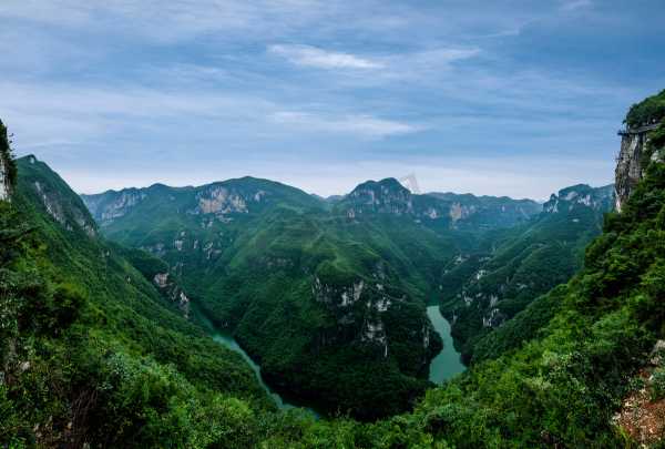 深山遇虎，预兆与解梦解析,象征,挑战,自我,第1张