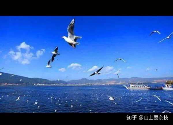 好，用户让我写一篇关于昆明哪里能求签子的文章，先写标题，再写内容，内容不少于840字。首先，我需要明确用户的需求。他们可能是在昆明旅游或者寻找某种服务，想了解哪里能找到求签子的地方,命运,求签,吉凶,第1张